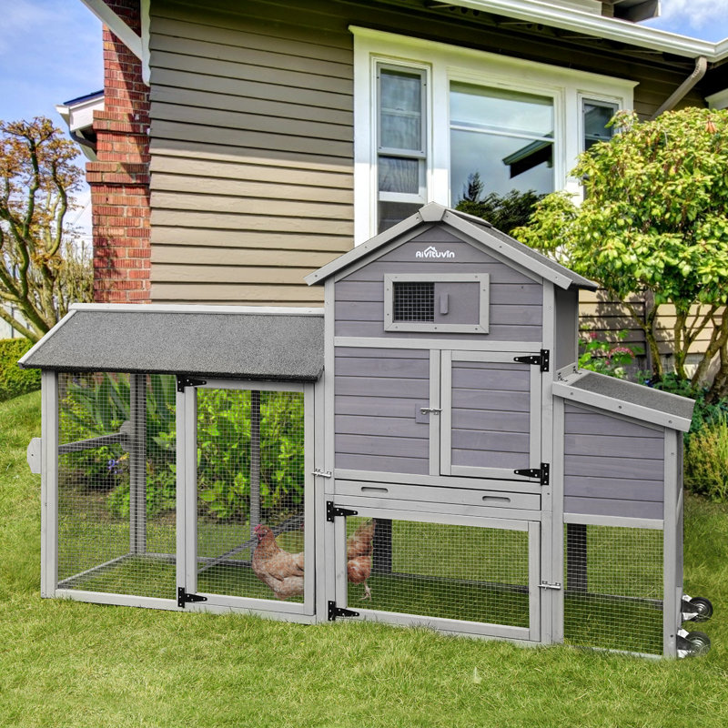 Tucker Murphy Pet™ Norhad Chicken Coop with Chicken Run For Up To 4